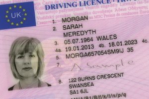 provisional license